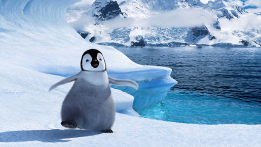 o0515029012629629287